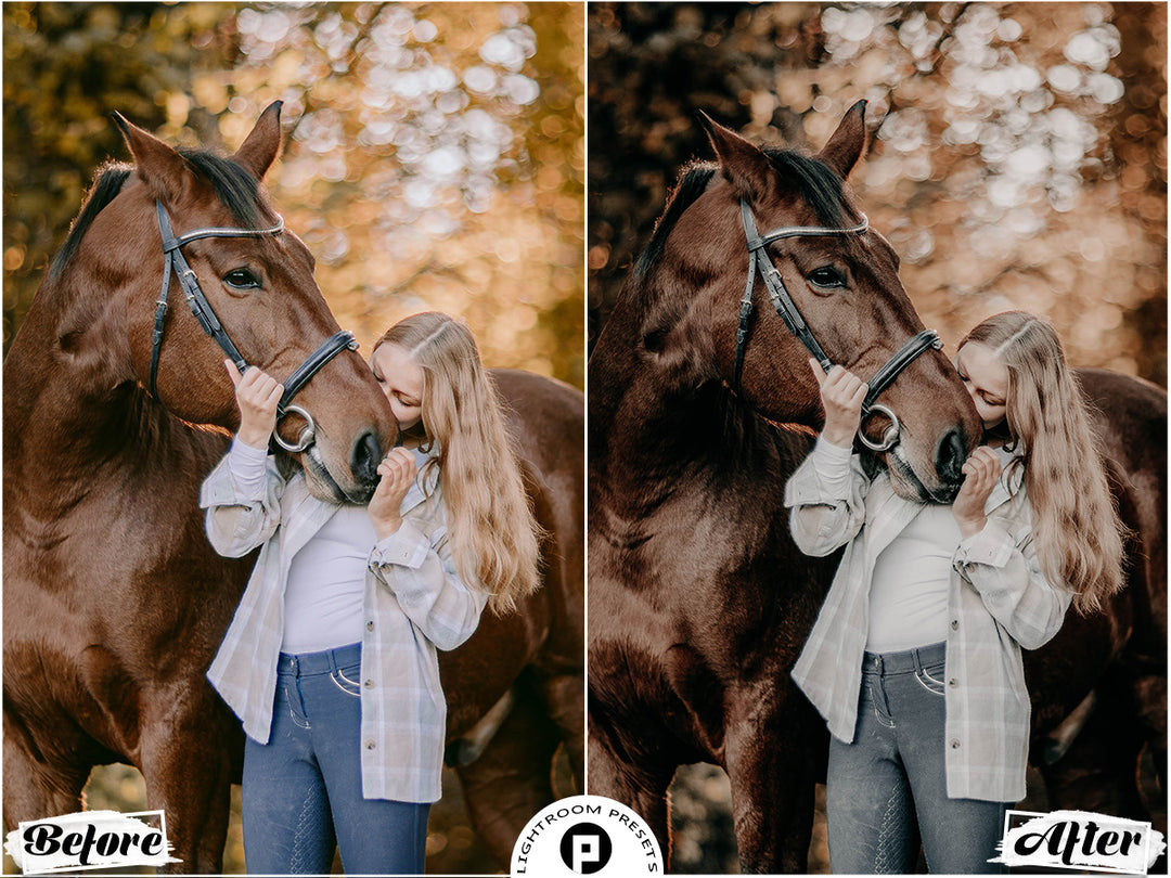 Wild West Lightroom Presets for Mobile & Desktop