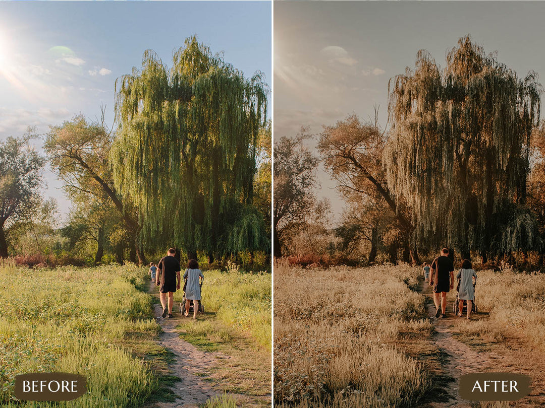 Wildlife Video LUTs' wildlife LUTs' instagram LUTs' landscape presets'lightroom' 'adobe lightroom' 'lightroom presets' 'presets' 'free lightroom presets' 'lightroom presets free' 'presets for lightroom' 'free presets' 'best lightroom presets' 'free lightroom mobile presets' 'Free Desktop Lightroom Presets' 'photo presets' lightroom mobile presets 'best lightroom presets free' 'lightroom presets free download' 'LR Presets' 'Wedding Photography Presets'