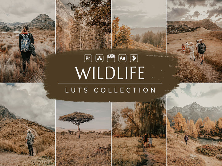 Wildlife Video LUTs for Final Cut Pro, Premiere pro and Davinci Resolve