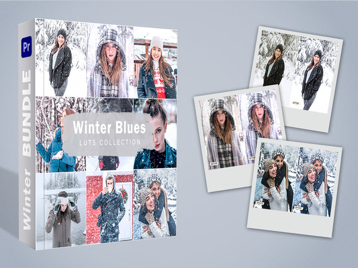 Winter Video LUTS Bundle