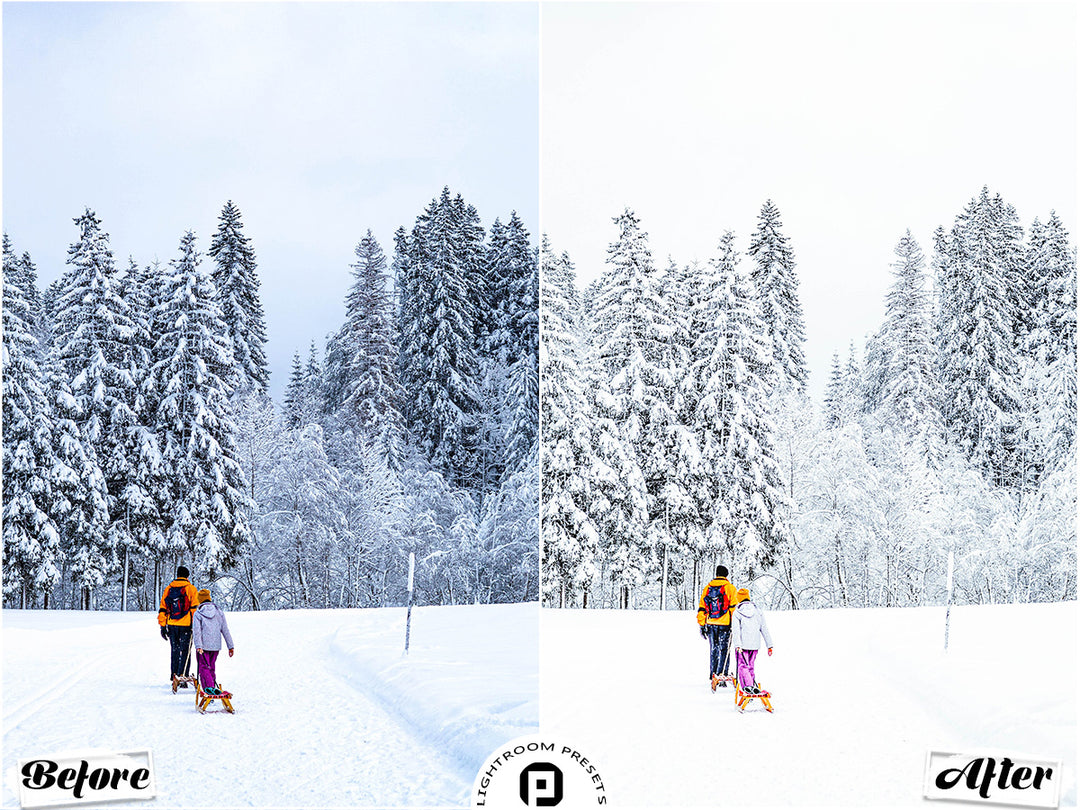 Winter Lightroom Mobile and Desktop Presets